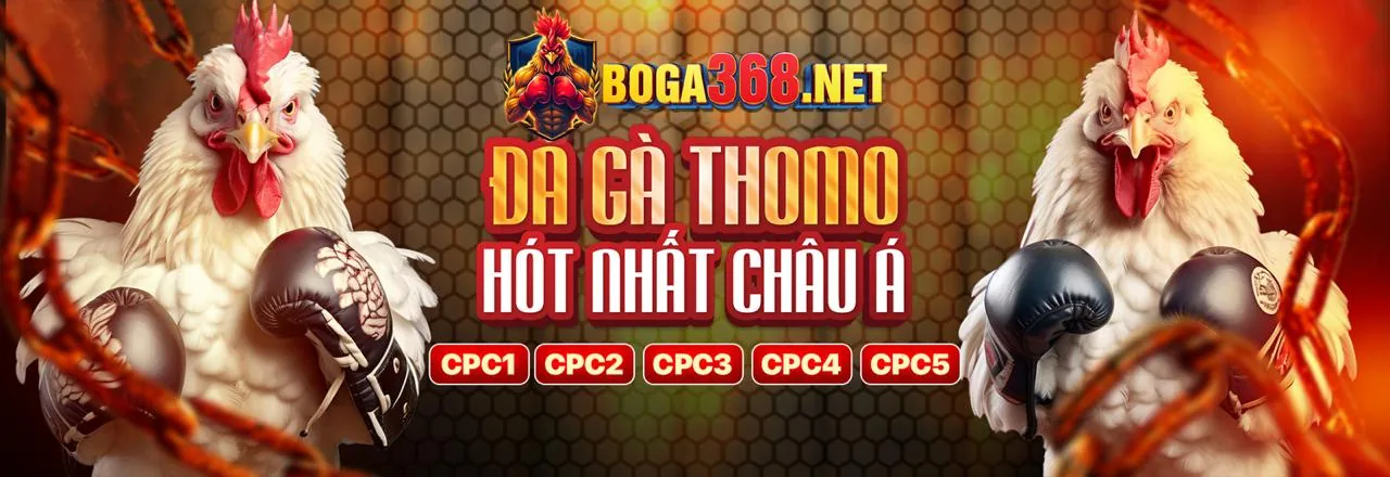 Tin tức mới nhất từ pg66 login